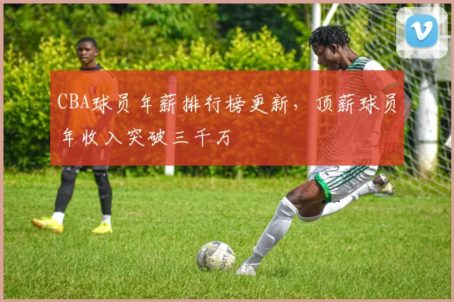 CBA球员年薪排行榜更新，顶薪球员年收入突破三千万