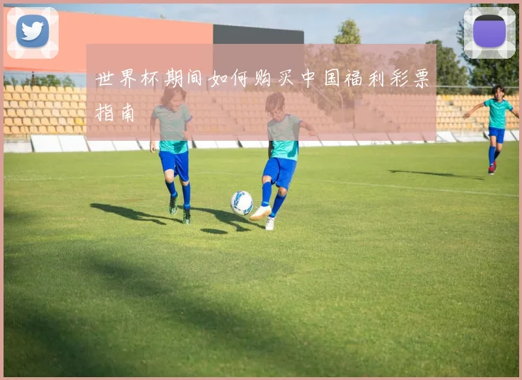 世界杯期间如何购买中国福利彩票指南