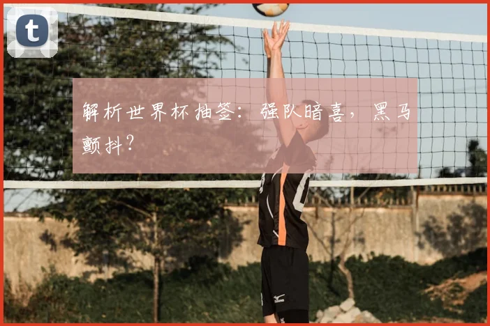 解析世界杯抽签：强队暗喜，黑马颤抖？