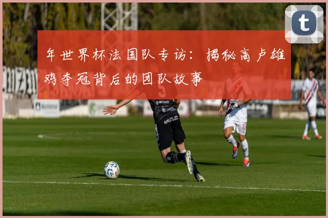 年世界杯法国队专访:揭秘高卢雄鸡夺冠背后的团队故事