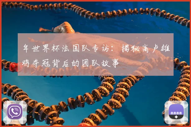 年世界杯法国队专访:揭秘高卢雄鸡夺冠背后的团队故事