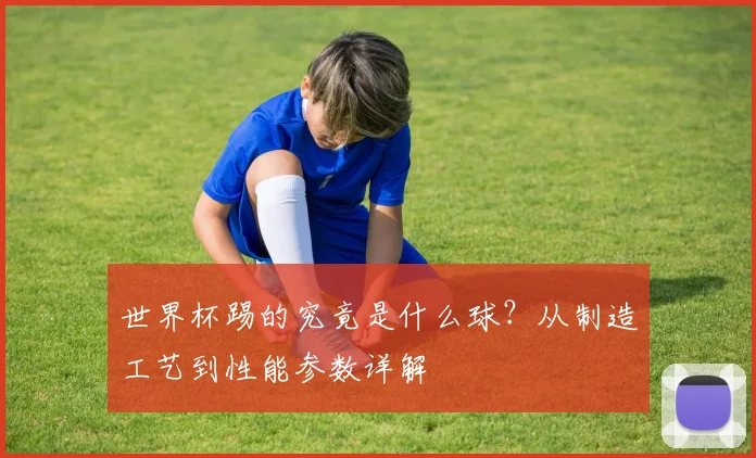 世界杯踢的究竟是什么球?从制造工艺到性能参数详解