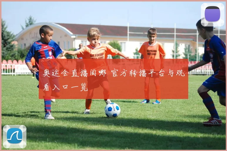 奥运会直播间哪 官方转播平台与观看入口一览