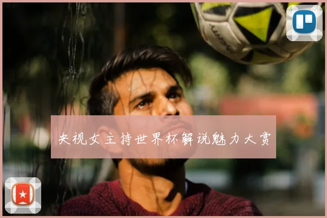 央视女主持世界杯解说魅力大赏
