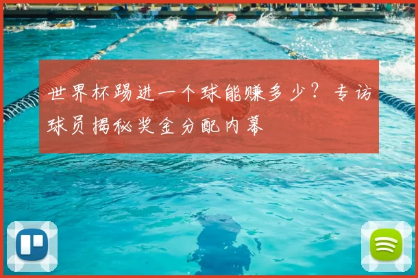 世界杯踢进一个球能赚多少？专访球员揭秘奖金分配内幕