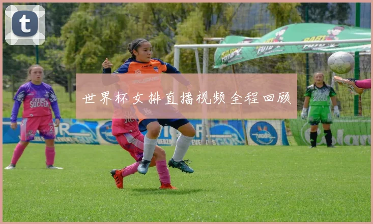世界杯女排直播视频全程回顾