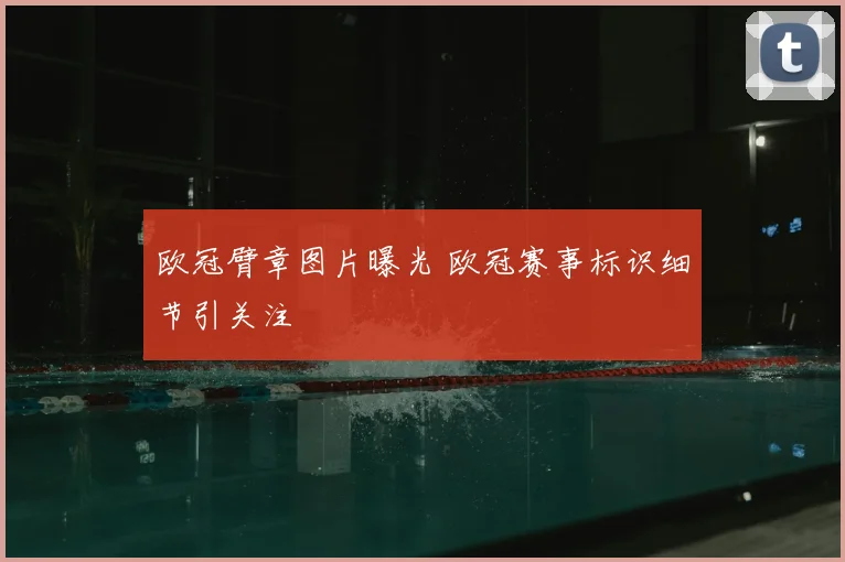 欧冠臂章图片曝光 欧冠赛事标识细节引关注