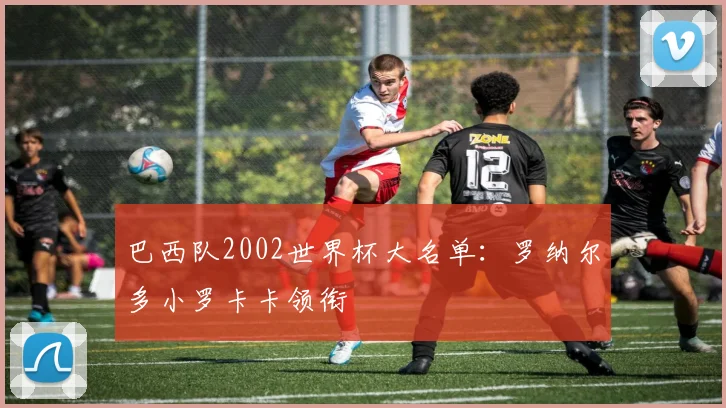 巴西队2002世界杯大名单：罗纳尔多小罗卡卡领衔