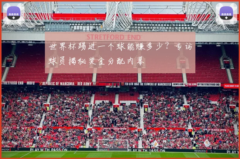 世界杯踢进一个球能赚多少？专访球员揭秘奖金分配内幕