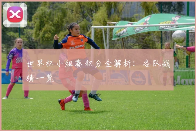 世界杯小组赛积分全解析：各队战绩一览